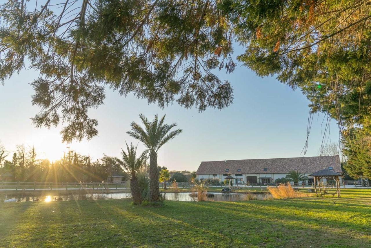 Abri Cosy - Suite Romantique En Camargue Saint-Gilles  Bagian luar foto